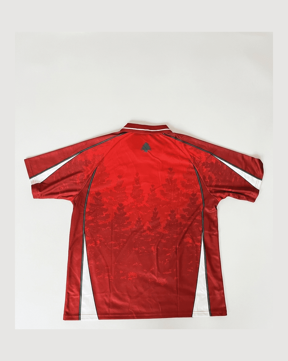 Lebanon Jersey view 2