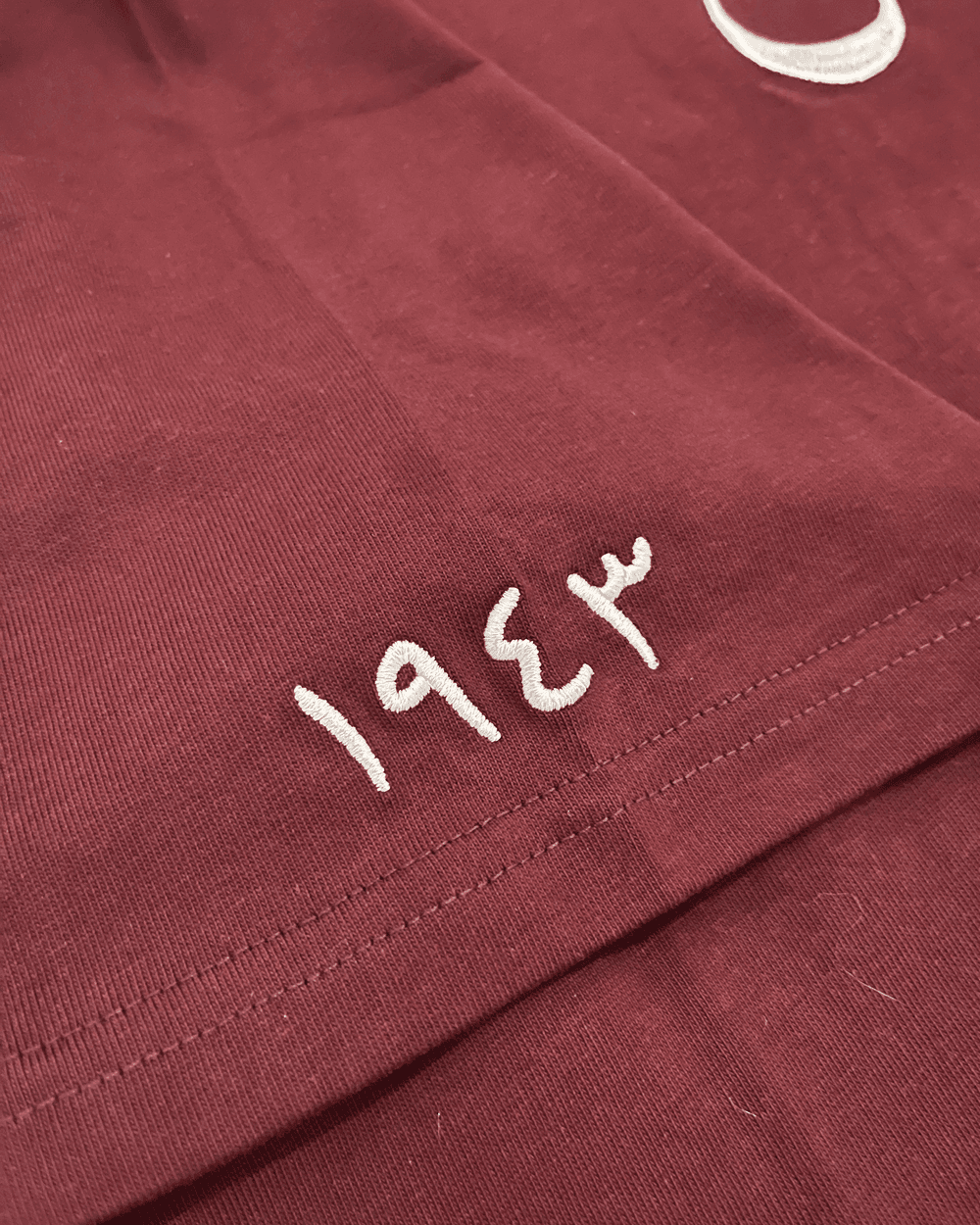 Lebanon Shirt view 4