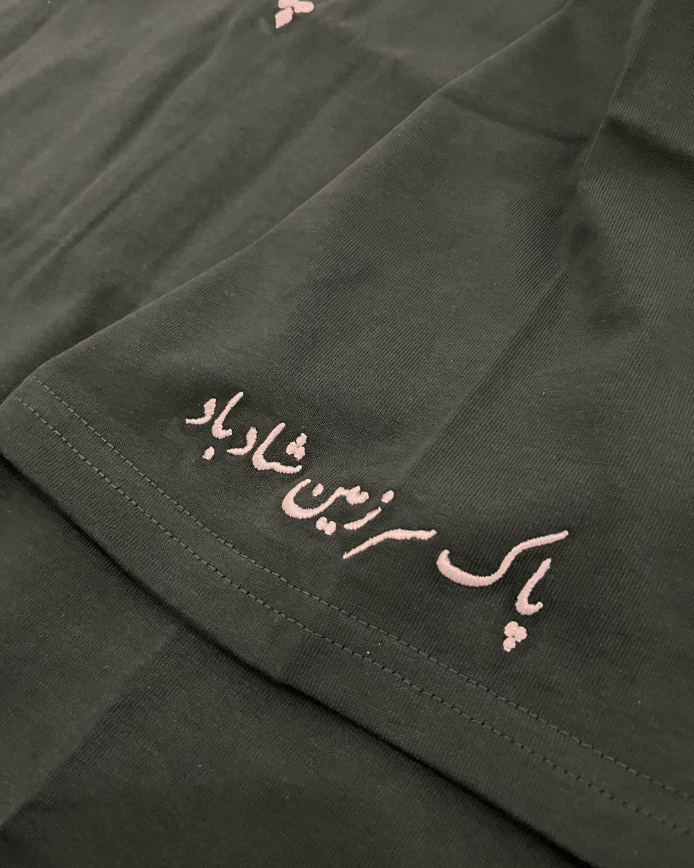 Pakistan Shirt view 3
